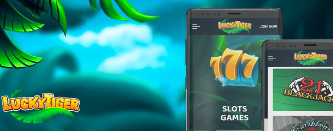 Lucky Tiger jackpots without complications how to play jackpot slots for real money and not lose control